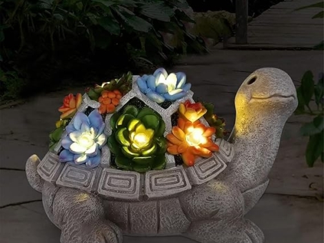 71Mq0xq6M4L._AC_SX569_